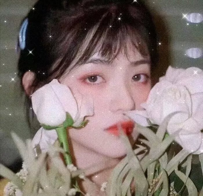 海狼